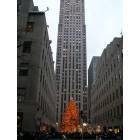 New York: : christmas tree at the rockfeller center