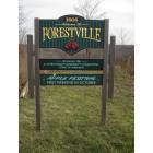 Forestville: Welcome Sign Located on Route 39