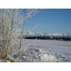 Kenny Lake: January Frost