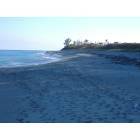 Juno Beach: juno beach at sunset