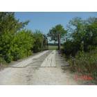 Mercer: Beatle Road Bridge, West of Mercer, not recomended for RV's