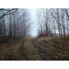 Cincinnatus: beautiful pictures of trail in Cincinnatus, NY there is a dear in the distance