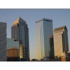 Tampa: downtown from atop the old fire station