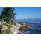 Pacific Grove: View from walking trail