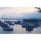 Monterey: monterey harbor