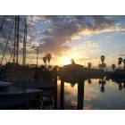 Corpus Christi: Corpus Christi marina at sunrise
