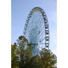Dallas: : Ferris wheel at the State Fair of Texas, Dallas, TX