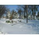 Fairmont: Snow in Fairmont near 52 Cottage Street