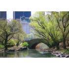 New York: : Central Park in the Spring