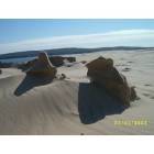 Ludington: : sand dunes