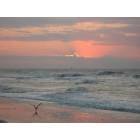 Sunset Beach: Early Sunrise