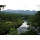 Plattsburgh: : A gorgeous view from a tree top