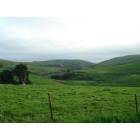 Tomales: Beautiful Tomales landscape