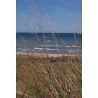 Sheboygan: Kohler-Andrae State Park