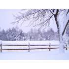 Columbia: Snow in the Park Near King Contrivance Columbia, MD