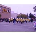 Bakersfield: : Veterens day parade
