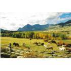 Cody: Sunlight Basin