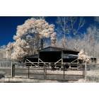 Vidor: Infrared Photo of Barn in Vidor