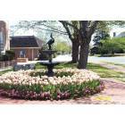 Dover: Dover Delaware Loockerman Street Fountain