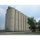 Emporia: Bunge