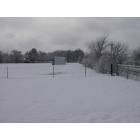 Our Horse field 2004 - Joshua Texas