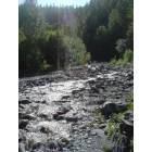 Seward: Exit Glacier path