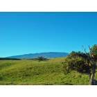 Waimea: Sunny day on Majestic Mauna Kea