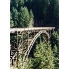 Carbonado: carbondo bridge