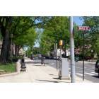 Naugatuck: View Up Church St.