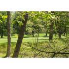 Naugatuck: Golf Course in Naugatuck