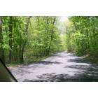 Naugatuck: Candee Lane in Naugatuck