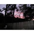 Mount Pleasant: Sunset over marsh--my backyard