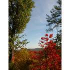 Hot Springs: : Gorgeous fall colors from a hiking trail in downtown Hot Springs!