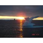 Barrow: Whale Tail Iceberg