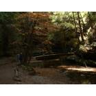 Logan: Hocking Hills