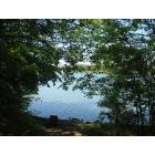 Cookeville: Cane Creek Park