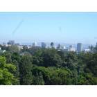 Los Angeles: : View from Bel-Air over Westwood & UCLA