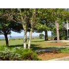 Mount Pleasant: Alhambra Hall On Charleston Harbor in Mount Pleasant