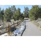 Big Bear Lake: North shore pedal path (walking/biking path)