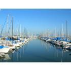 Long Beach: : The Marina