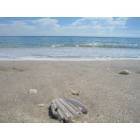 Sebastian: Wabasso Beach