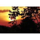 Sebastian: Pelican Island Preserve