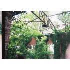 Edmonton: Gymnasium of Haunted School 