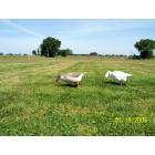 Sacramento: Gibson Ranch Park
