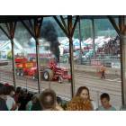 Walton: Walton County Fair Of 2005 Great time won't miss ti for the world