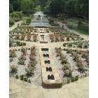 Fort Worth: : Rose Garden in the Ft. Worth Biotanical Garden