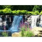 Clifton Heights: Darby Creek waterfalls in Clifton Heights