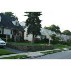 Albertson: Typical Residential Street 2