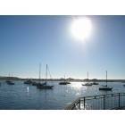 Morro Bay: : Sunshine And Tranquil Water Lures Many Boaters To Morro Bay