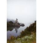 Mendocino: Mendocino, tree in fog
